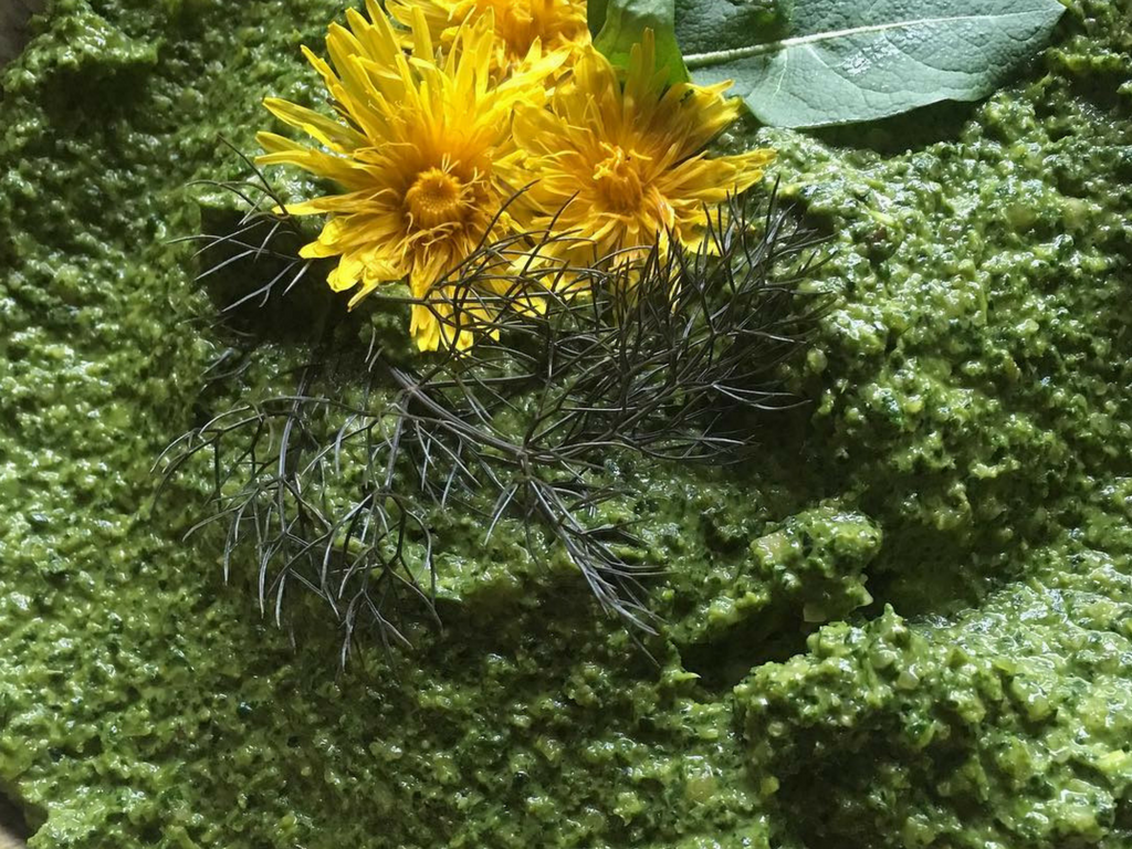 Dandelion Pesto Spread